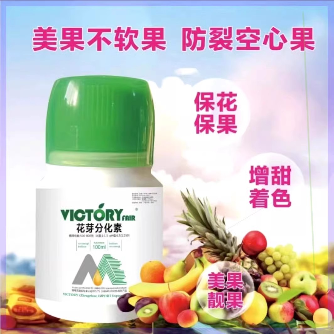 VICTORY FAIR维柯托瑞花芽分化素授粉开花现蕾分化细胞分裂果树y - 图2