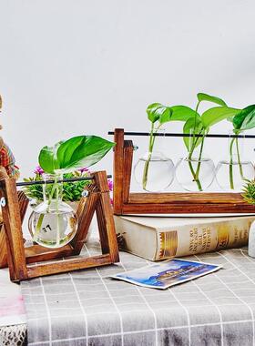创意木架水培灯泡花瓶绿萝植物玻璃花器客厅小容器桌面装饰摆件吊