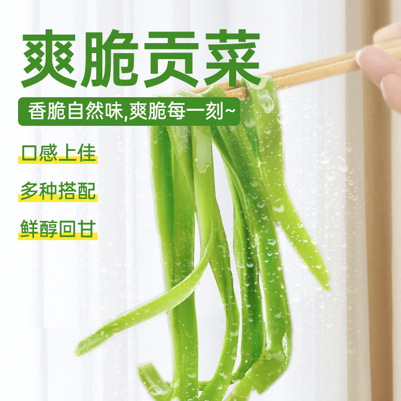 伴晓仙贡菜260g 新鲜贡菜 火锅响菜苔干苔菜 凉拌菜火锅食材,淘宝优惠券,粉丝福利购,淘宝优惠卷