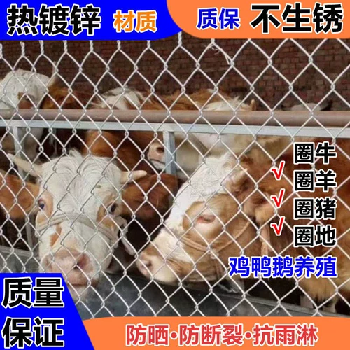 Гальванизированная железная проволочная сетчатая сетчатая стальная забор Повышение свиньи, крупный рогатый скот, сетка для зацепления овец, куриная утка, сетевая сеть рыба или защита от сада