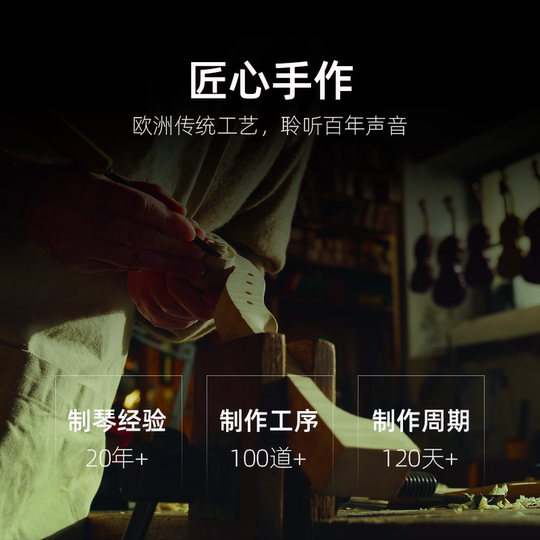 VEAZEN Feisen SV338 solid wood beginner professional grade examination performance children's entry-level practice handmade violin