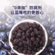 Changbai Mountain Extra Large Dried Blueberries