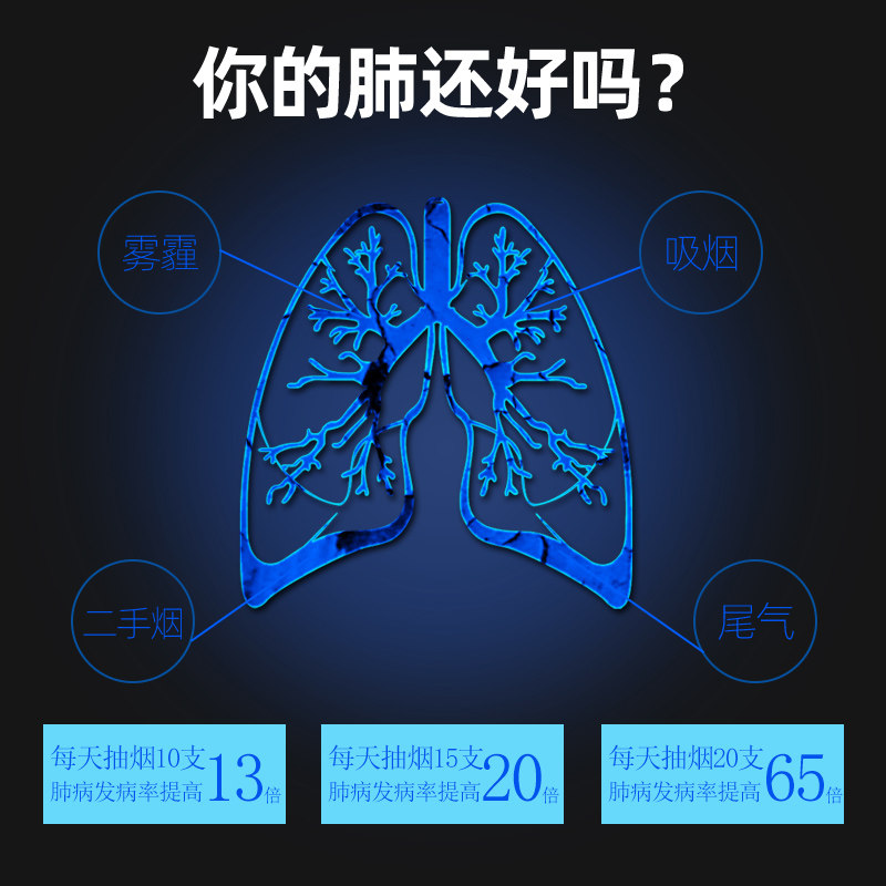 胖大海咽炎茶养生茶叶清肺包金银花 沁晚香养生茶