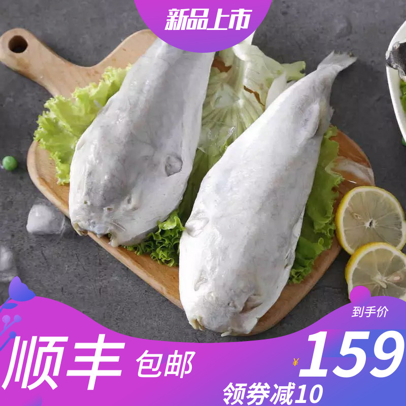 日盛食品专营店河豚鱼宰杀前1300g食用已处理淡水养殖河豚生鲜送鱼皮鱼肝4条装0