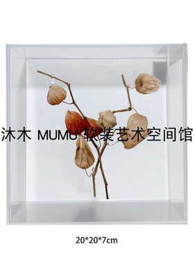 样板间儿童书房客厅暖棕绿色植物标本亚克力挂墙软装饰品墙饰组合