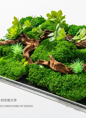 新中式青苔绿植苔藓亚克力盒花艺仿真花盆景样板间售楼处茶几摆件