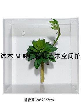 样板间儿童书房客厅暖棕绿色植物标本亚克力挂墙软装饰品墙饰组合