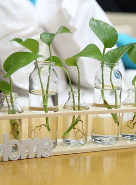 小清新木架水培植物容器创意家居客厅桌面装饰品摆件水培玻璃花瓶