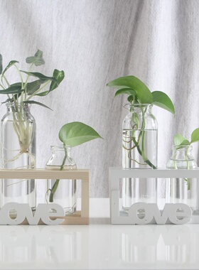 创意绿萝玻璃花瓶北欧风水培植物插花容器木架装饰品家居桌面摆件