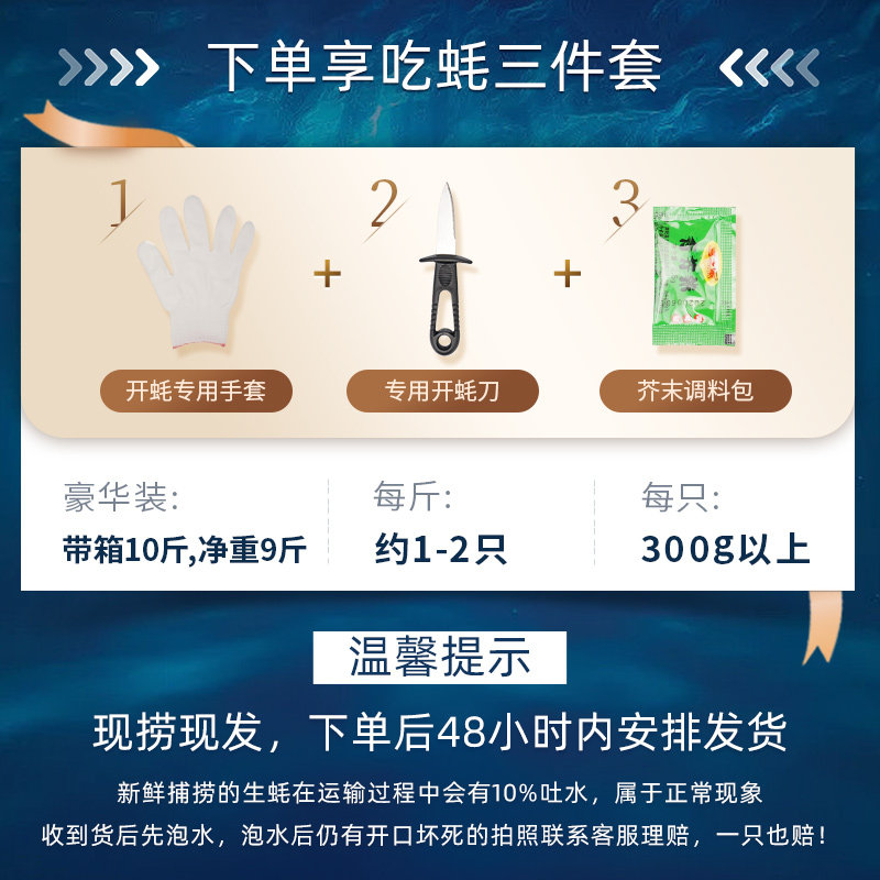 贝司令乳山鲜活10斤特大6xl海蛎子 贝司令生蚝
