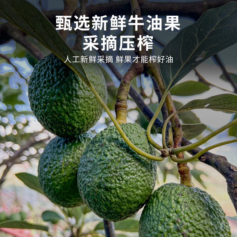 有机牛油果油进口牛油果初榨食用有机油核桃山茶油有机油亚麻籽油