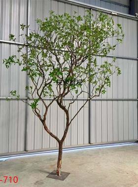 仿真马醉木树装饰酒店民宿茶室书店餐馆布景道具摆件假绿植