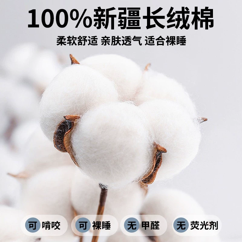 新疆纯棉护膝保暖老人腿防寒男女士关节空调房秋冬季长款膝盖护套,淘宝优惠券,粉丝福利购,淘宝优惠卷