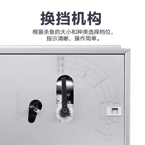 龙泽良杀鱼机商用全自动除鳞机开膛开肚去鳞开背多功能杀鱼一体机 - 图1