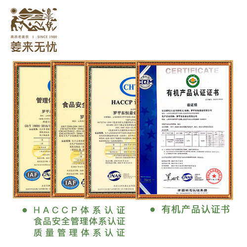 姜来无忧生姜素食用泡水有机纯姜粉云南罗平小黄姜淀粉原始点驱寒 - 图1
