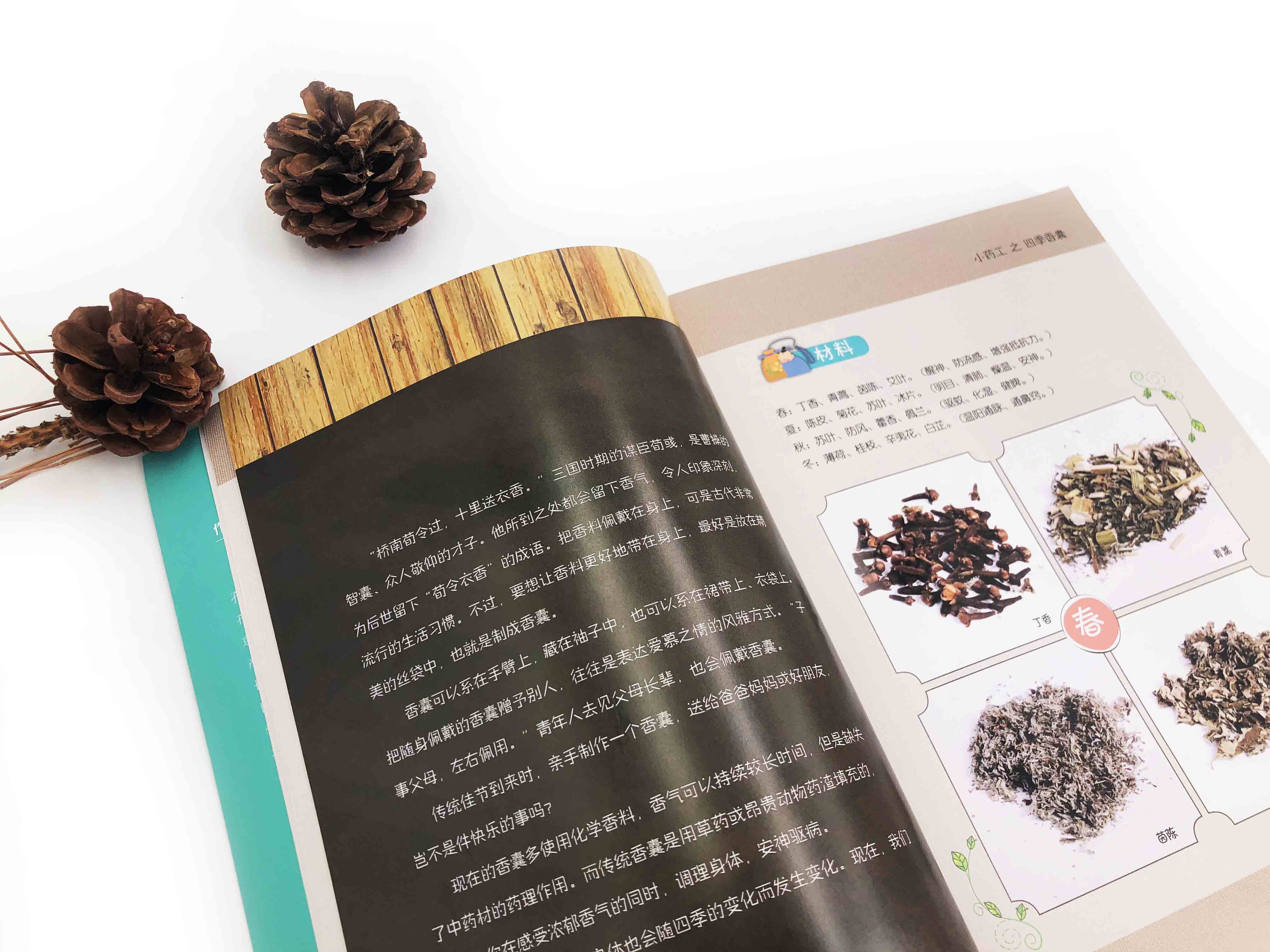 小药工 中医传统手工制作活动 孔令谦 赠视频 中小学生青少年儿童中医药手工制作教程常见药材植物中医科普图书籍中医入门教材