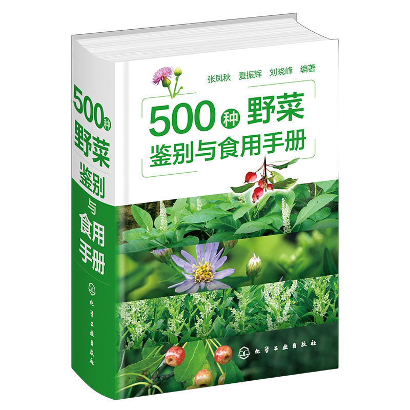 正版 500种野菜鉴别与食用手册 植物别名学名科属识别特征分布及生境营养及药用功效食用部位及方法毒性 植物爱好者阅读参考图书籍 - 图3