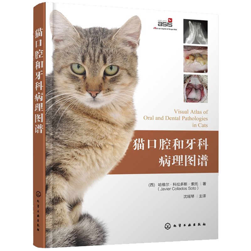 猫口腔和牙科病理图谱 猫牙科病理图谱治疗手册 犬猫组织学牙齿结构 犬猫齿系图谱 小动物牙周探查图例 宠物医生兽医入门参考书籍