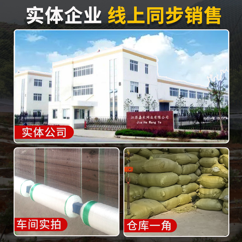 防鸟网草莓大棚果树樱桃葡萄果园防鸟用网尼龙棕丝网农业鱼塘天网 - 图2