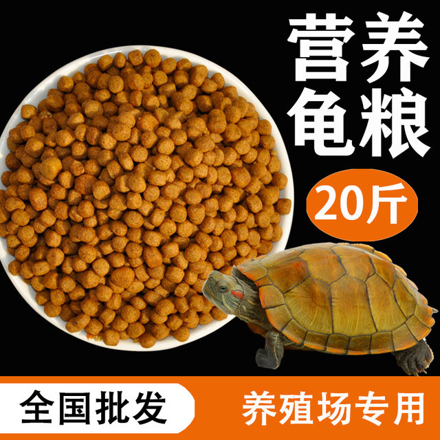 ລ້ຽງເຕົ່າອາຫານ fishjule turtle farm ພິເສດ
