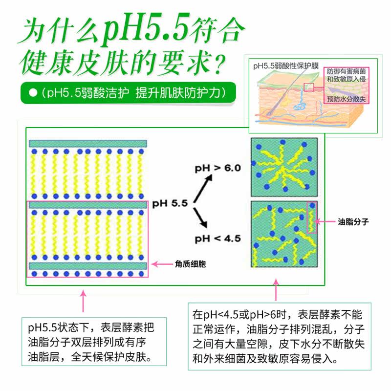 【三力草】德国直邮施巴补水身体乳液 3Hapopro海外身体乳/霜