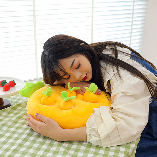 高颜值婴幼儿童益智玩具早教拔萝卜玩偶1到6岁宝宝婴儿胡萝卜靠垫 - 图1