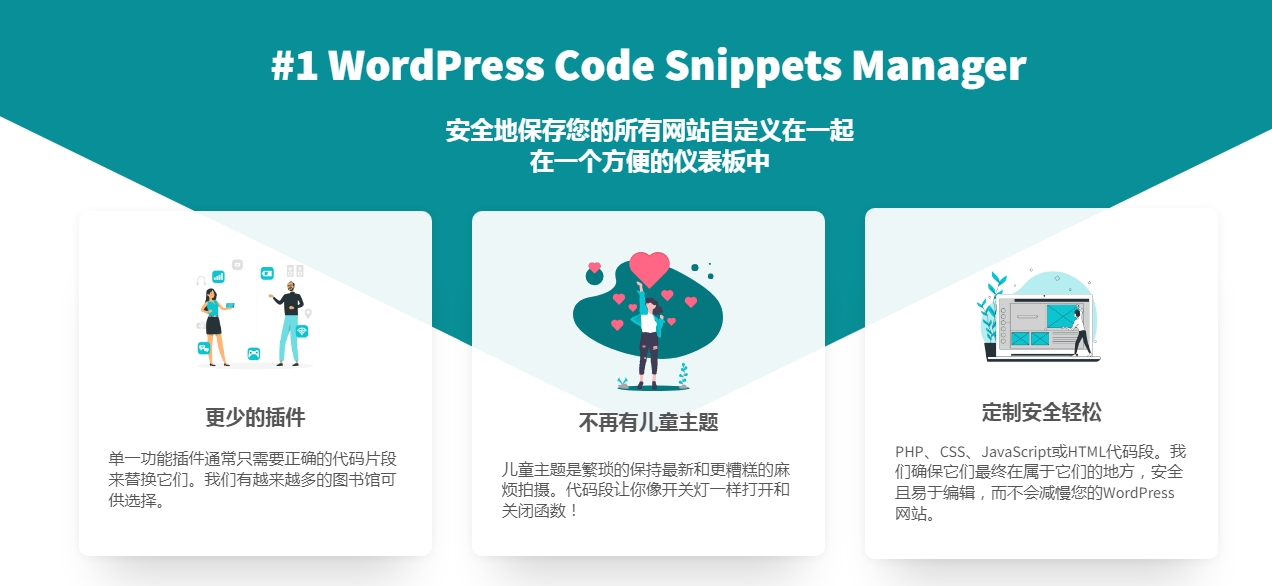 Code Snippets Pro插件 WP代码段插件多站点站群插件官方原版-图0