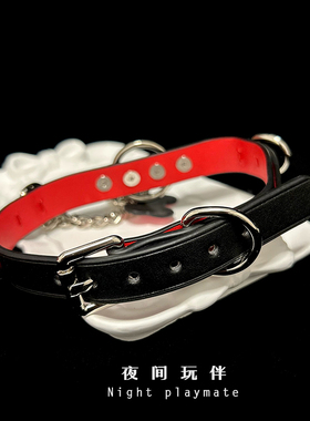 夜间玩伴 choker项圈真皮颈圈男女项链k8k9小狗puppy牵引绳可刻字