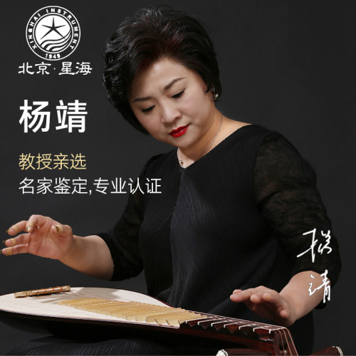 星海儿童琵琶乐器初学者成人初学入门硬木考级专用琵琶琴琵笆 - 图1