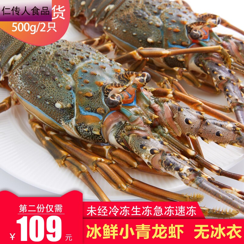 小青龙虾冷冻冰鲜新鲜小青龙青龙虾 仁传人食品活虾
