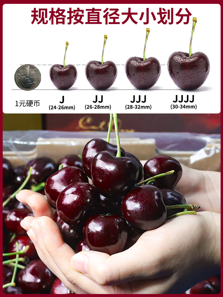  顶掌柜车厘子/樱桃