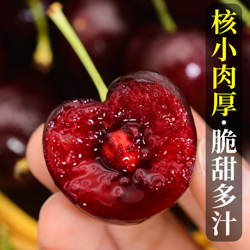 特级现货5斤4j美早新鲜包邮大樱桃 顶掌柜车厘子/樱桃
