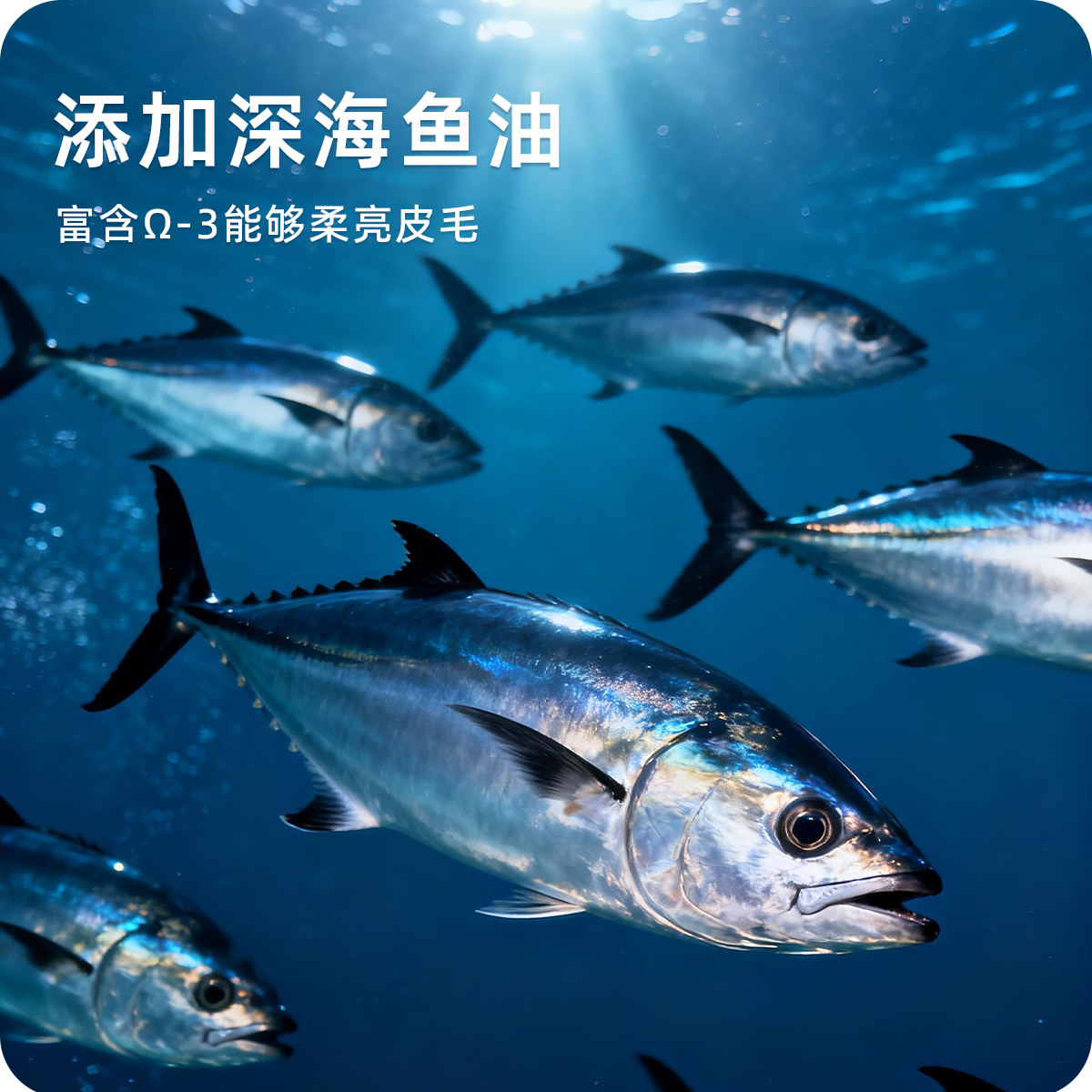 好适嘉猫罐头主食罐85g*24罐幼猫成猫补充营养湿粮猫饭猫咪零食,淘宝优惠券,粉丝福利购,淘宝优惠卷