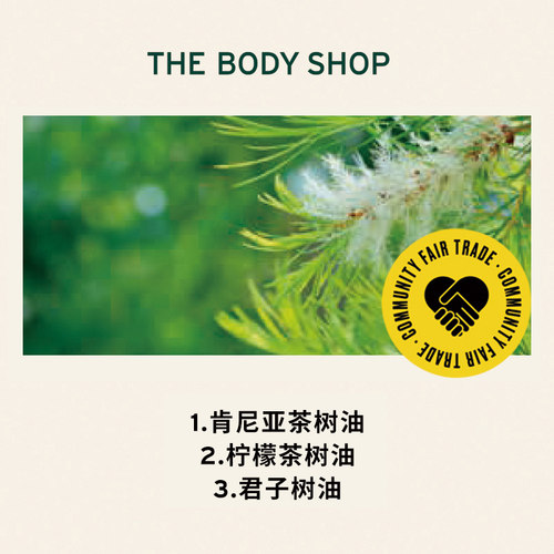 【官方正品】TheBodyShop美体小铺茶树油10/20ml控油平衡调节水油 - 图2
