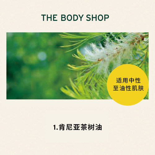 【官方正品】The body shop/美体小铺茶树洁肤沐浴露清新润肤补水 - 图2