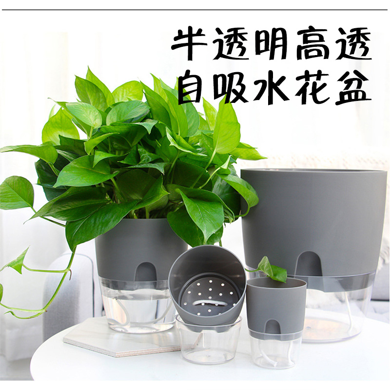 灰色花盆 新人首单立减十元 21年8月 淘宝海外 灰色花盆 新人首单立减十元 21年8月 淘宝海外