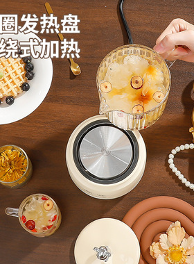 网红多功能智能养生杯办公室迷你煮茶器便携式燕窝玫瑰花茶电炖杯