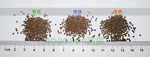 兰寿网金鱼饲料高蛋白育成增体艳下沉颗粒兰寿泰狮国寿鱼食家用 - 图0