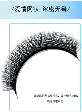 蝴蝶格格y型假眼睫毛bb翘磁性
