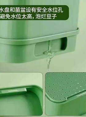 豆芽发芽神器种花生芽水培育苗
