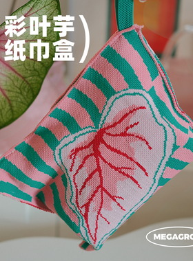 浇浇x超级茂盛热植彩叶芋纸巾盒