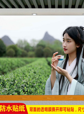 茶叶店茶道文化采茶少女茶园海报