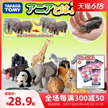 TOMY Multimeka Anglia Emulated Land Wildlife Model Tiger Orangutan Elephant Lion Rabbit Toy