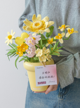 手工盆栽花礼母亲节心意礼赠