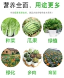 Овощи с мультисанатом питания, овощи, посадки цветов, почвенные цветы и грязь семейства дождевых червей.