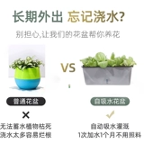 Ленивый самооборотный вид воды, грейпфронты, шелковик 涫 家 籼ㄅ 籼ㄅ 柙 衿 衿 衿 衿 衿 衿 衿 衿 衿 衿 衿 衿