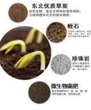 Овощи с мультисанатом питания, овощи, посадки цветов, почвенные цветы и грязь семейства дождевых червей.