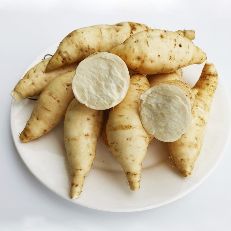 小球娃旗舰店白皮白心人参薯5斤当季红薯新鲜沙地薯白皮蜜薯薯整箱地瓜山芋103
