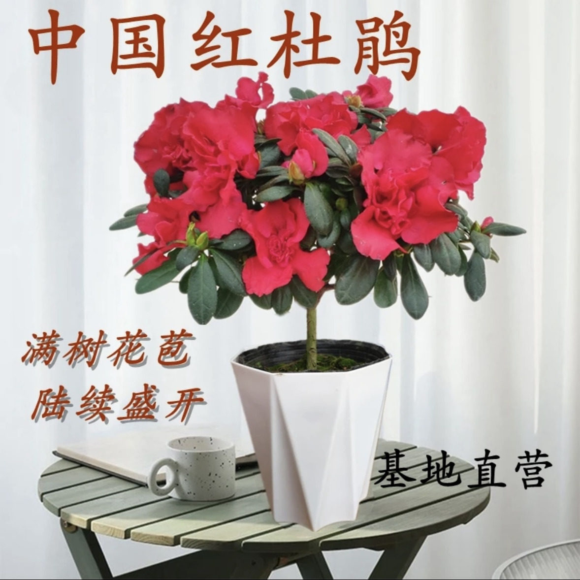 图4