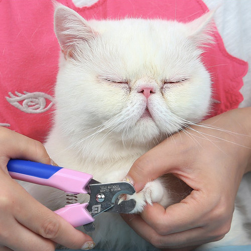 乐比宠物狗狗猫咪指甲钳小型犬泰迪金毛狗指甲刀LB修甲刀猫指甲剪 - 图0